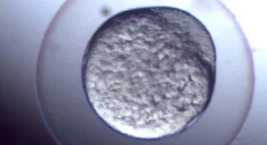 Atık ilaçların insan sağlığına etkisi araştırılıyor