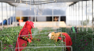 ATB'den karbon ayak izini ölçen yazılım