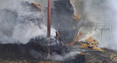 Çiftlikte yangın çıktı