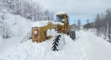 Doğu Karadeniz'de kar; 367 köy yolu kapandı