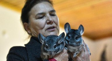 Egzotik hayvanlara ziyaretçilerden yoğun ilgi