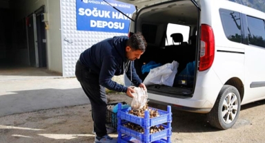 Finike’ye soğuk hava deposu