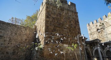 Tarihi yapıya 'dışkı' zararı