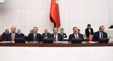 İçişleri ve Sağlık bakanlıkları bütçeleri, TBMM'de