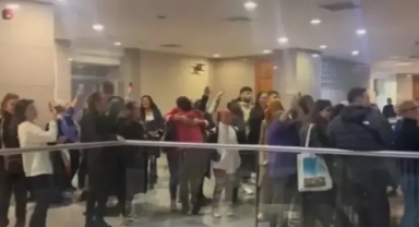 Kedileri öldüren sanık hastanede gözlem altına alınacak