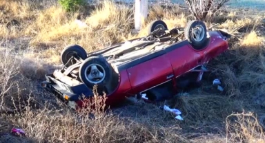 Köpeğe çarpan araç takla attı