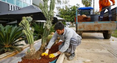 Büyükşehir Belediyesi şehri renklendiriyor
