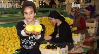 Limonda ihracat üreticiyi memnun etti