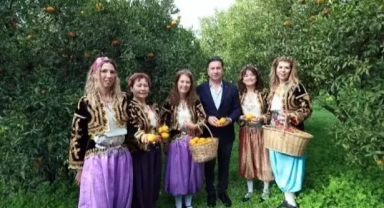 Mandalina Festivali düzenlendi