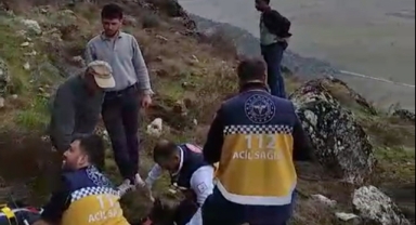 Mantar toplarken düşüp yaralandı