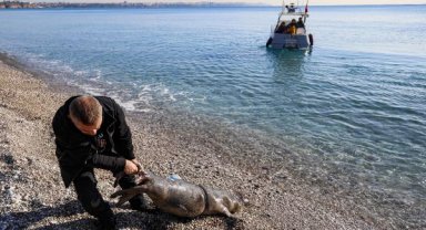 Konyaaltı açıklarında ölü bulundu