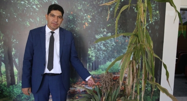 Sorgum mutfaklarda da yerini alacak