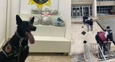 Taksideki uyuşturucuyu 'Naz' buldu