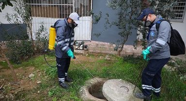 Vektörel mücadele kışın da sürüyor