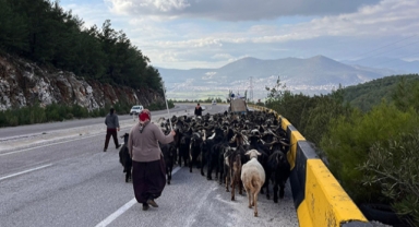 Yörükler kışı geçirmek için göçtü