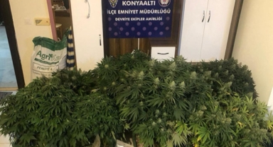 10 ilde eş zamanlı Vurgun Operasyonu 