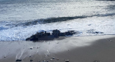 Alanya’da vahşet! 