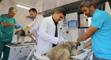 Can Dostlar’a özel merkez