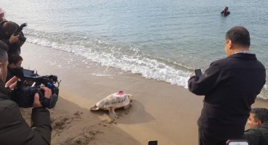 Caretta Tuba’dan artık sinyal yok! 