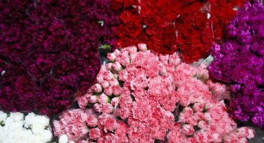 Çiçek sektörü hedef büyüttü 