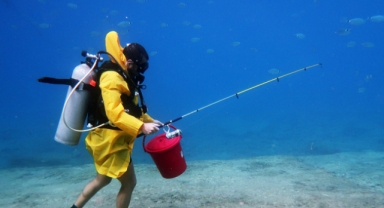 Dalgıçlar su altında oltayla temsili balık avladı