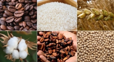 Emtia piyasası geçen hafta pozitif seyretti