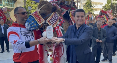 En süslü deve yarışması