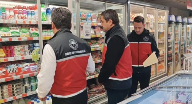 Gıda ve yem denetimi