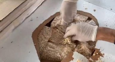 Gümrüklerde 5 milyarlık ‘zehir’ 