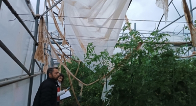 Hortum seralara zarar verdi