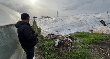 Hortum seralara zarar verdi