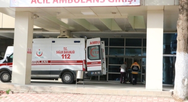 Kestiği ağacın altında kaldı