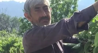 Kestiği ağacın altında kaldı