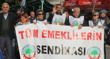 Kök hücre yaşatır kök maaş öldürür 