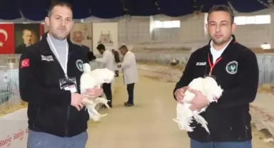 Kümes Hayvanları Gösterisi yapılacak