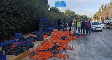Kazada domatesler yola saçıldı 