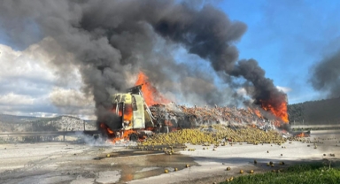 Narenciye yüklü tırda yangın