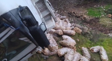 Otomobil şarampole devrildi