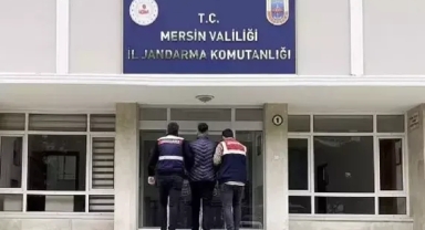 Siber dolandırıcı tutuklandı