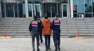 Tavuk çiftliğinde kenevir yetiştirdiler