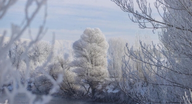 Türkiye'de en soğuk gece Bolu'da yaşandı