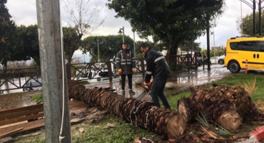 Yağmur ve fırtına yine tarumar etti 