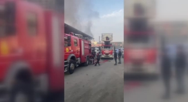 Yangındaki güvercinleri itfaiye erleri kurtardı