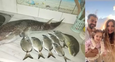 Zehirlenen ailenin damadı: Balon balığı yediğimizi bilmiyorduk