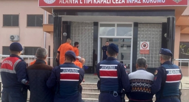 Avokado hırsızlarını Jandarma yakaladı