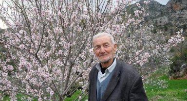 Badem ağaçları çiçek açtı