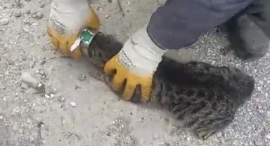 Başı konserve kutusuna sıkıştı