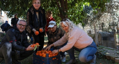 Ekonomiye 'turunç' katkısı