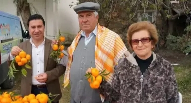 Kilosu 8 liradan alındı