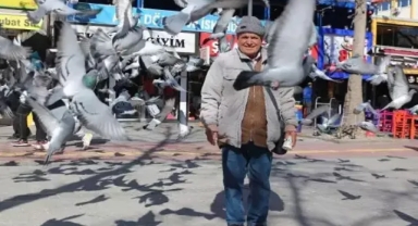 Kuşçu amca'nın güvercin sevgisi